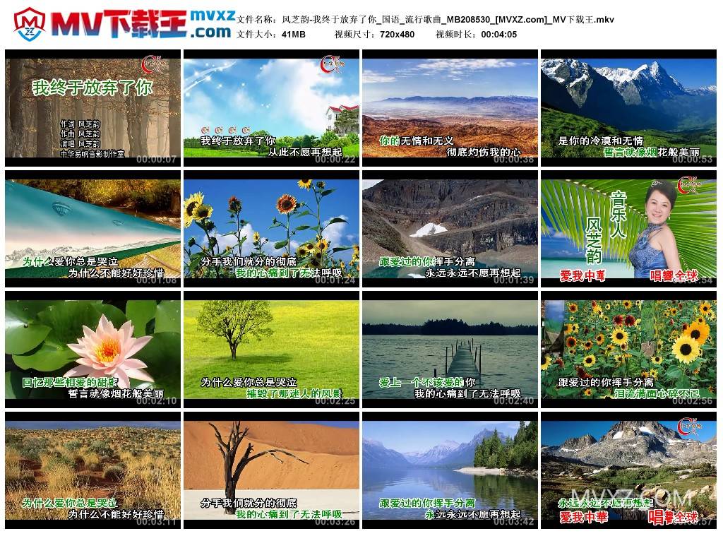 风芝韵-我终于放弃了你_国语_流行歌曲_MB208530